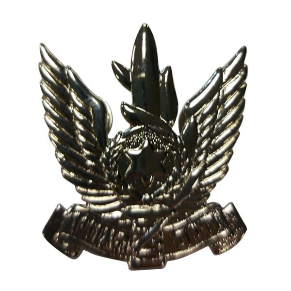 air force beret pin » החייל נרתיק לקולט 1911- IMI-Z1030